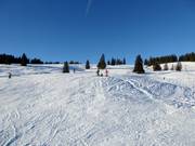 Gemakkelijke panoramapiste