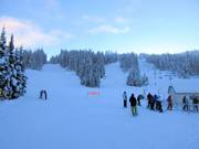 Uitzicht op de pistes op Mt. Morrisey