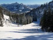 Dalafdaling Tauplitz