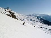 Uitzicht over de Aletsch Arena