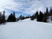 Makkelijke piste Hangurs