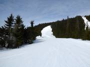 Moeilijke piste Skogshenget