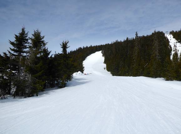 Moeilijke piste Skogshenget
