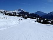 Gemakkelijke piste Incisa bij de Passo Campolongo
