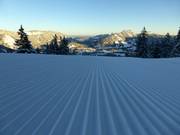 Zo begint de dag bij de Wiedhagalpe