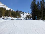 Gemakkelijke afdaling Franzin