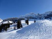 Uitzicht op de Kampenwand