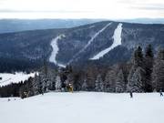 Uitzicht op de pistes op de Zwieselberg