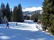 Dalafdaling naar See