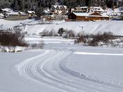 Hoogteloipe in Sulden