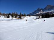 Gemakkelijke piste nr. 43 Golf