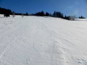 Freeride helling tussen Kapellenlift en Scheuermattlift