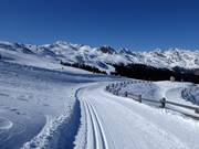 Hoogteloipe Platschjoch