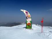 Tip voor de kleintjes 