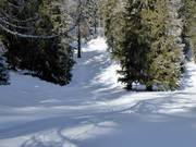 Hoogteloipe Schlickeralm: afdalingen en stijgingen