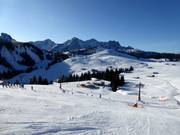 Uitzicht vanaf de Schwarzeck op Schönbühel