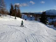 Gemakkelijke piste Schneiderkogel