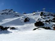 Vrij skigebied onder de Grubigstein