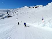 Brede pistes onder de Pengelstein in de Kasereckmulde