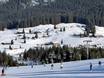Duitsland: accomodatieaanbod van de skigebieden – Accommodatieaanbod Steinplatte/Winklmoosalm – Waidring/Reit im Winkl