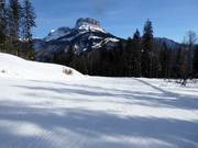 Gemakkelijke afdaling Rehkogel