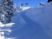Rodelbaan van het bergrestaurant Sonnenkopf naar het middenstation van de Sonnenkopfbahn
