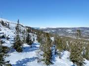 Freeride-/ poedergebieden in Stöten