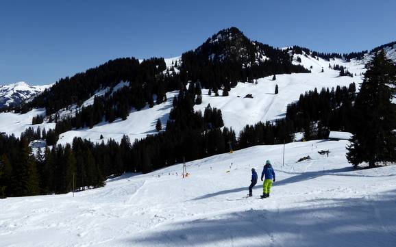 Skiën in het Saanedal