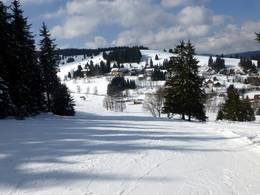 Skigebied Schwarzenbachlift – Altglashütten