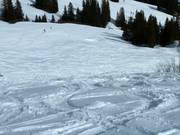 Sporen in de diepe sneeuw