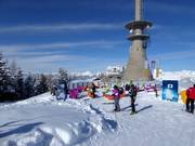 Genot-eiland om te ontspannen op de Hauser Kaibling