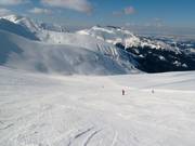 Afdaling Goryczokowa