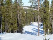 Langlaufloipes in het Hellner Stadion