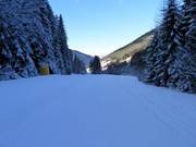 Piste nr. 24 dalafdaling naar Welschnofen