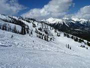 Uitzicht over de Lizard Bowl