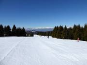 Gemakkelijke piste Paut-Bus de la Nef nr. 23b