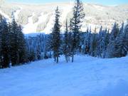 Double Diamond afdaling op de Mt. Morrisey