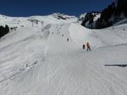 Makkelijke afdaling bij de sleeplift Spycher