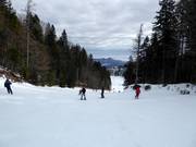 Gemakkelijke piste bij de sleeplift in het dalgebied