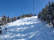 Buckelpiste bij de Champagne Express