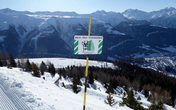 Goms: milieuvriendelijkheid van de skigebieden – Milieuvriendelijkheid Bellwald