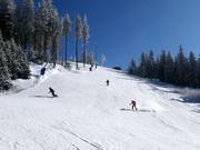 Korte zwarte piste Aida