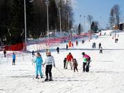 Perfect terrein voor families vind je ook bij lift C.