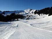 Gemakkelijke komafdaling