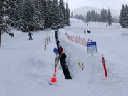 Porcupine - Transportband/Moving Carpet