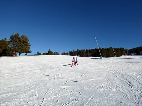 Skigebieden voor beginners in de oostelijke Pyreneeën – Beginners La Molina/Masella – Alp2500