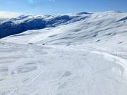 Gemakkelijke afdaling Hyrtamyra nr. 19