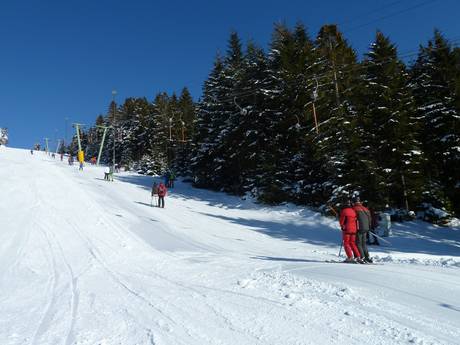 Karlsruhe (regeringsdistrict): beste skiliften – Liften Hundseck – Bühlertallifte