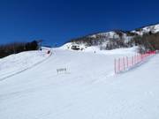 Piste Sonja nr. 21 (Geilohovda)