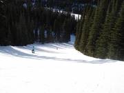 Bosafdaling bij de Jackrabbit Quad